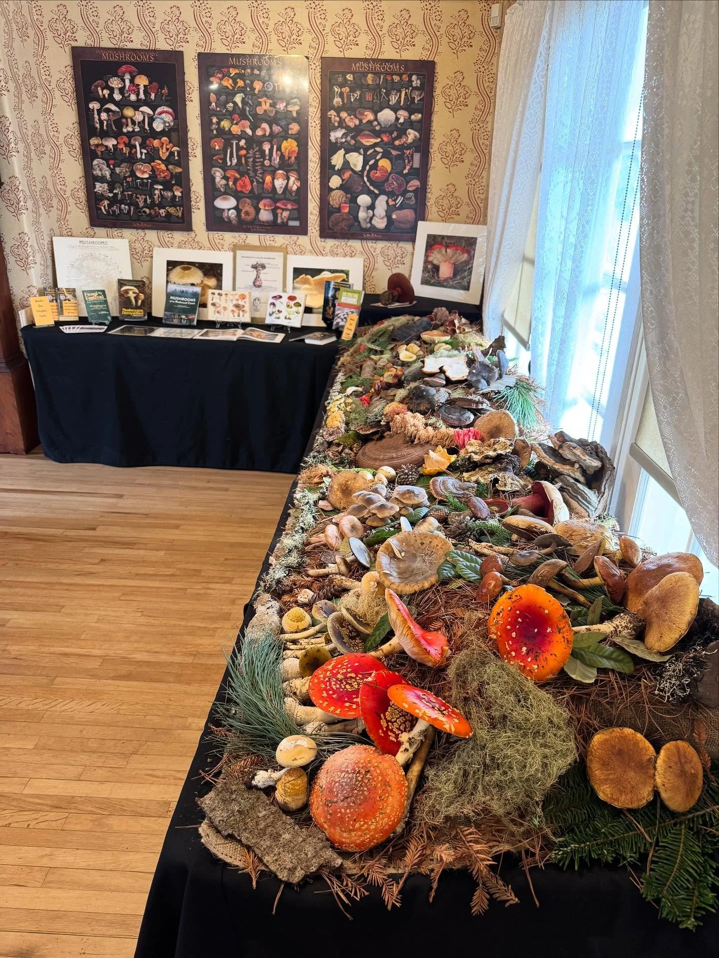 Stop by the Ford House in Mendocino Village for the coolest mushroom display around!!! Up until end of December #stateparks #mendocino