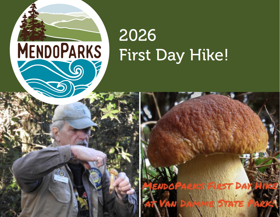 First Day Hike - 2026
