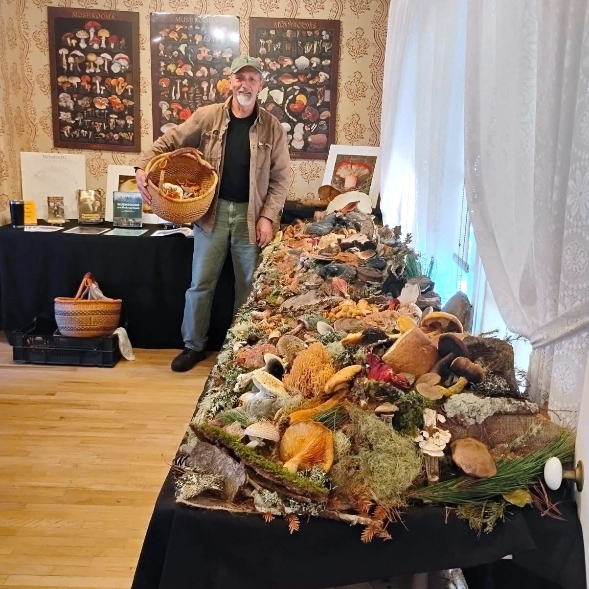 This INCREDIBLE  mushroom display (by State Park Volunteer Mario Abreu - pictured) is only up until December 30! Come by the Ford House and check it out (and do some holiday shopping in the meantime at our wonderful visitor center). https://www.mendo
