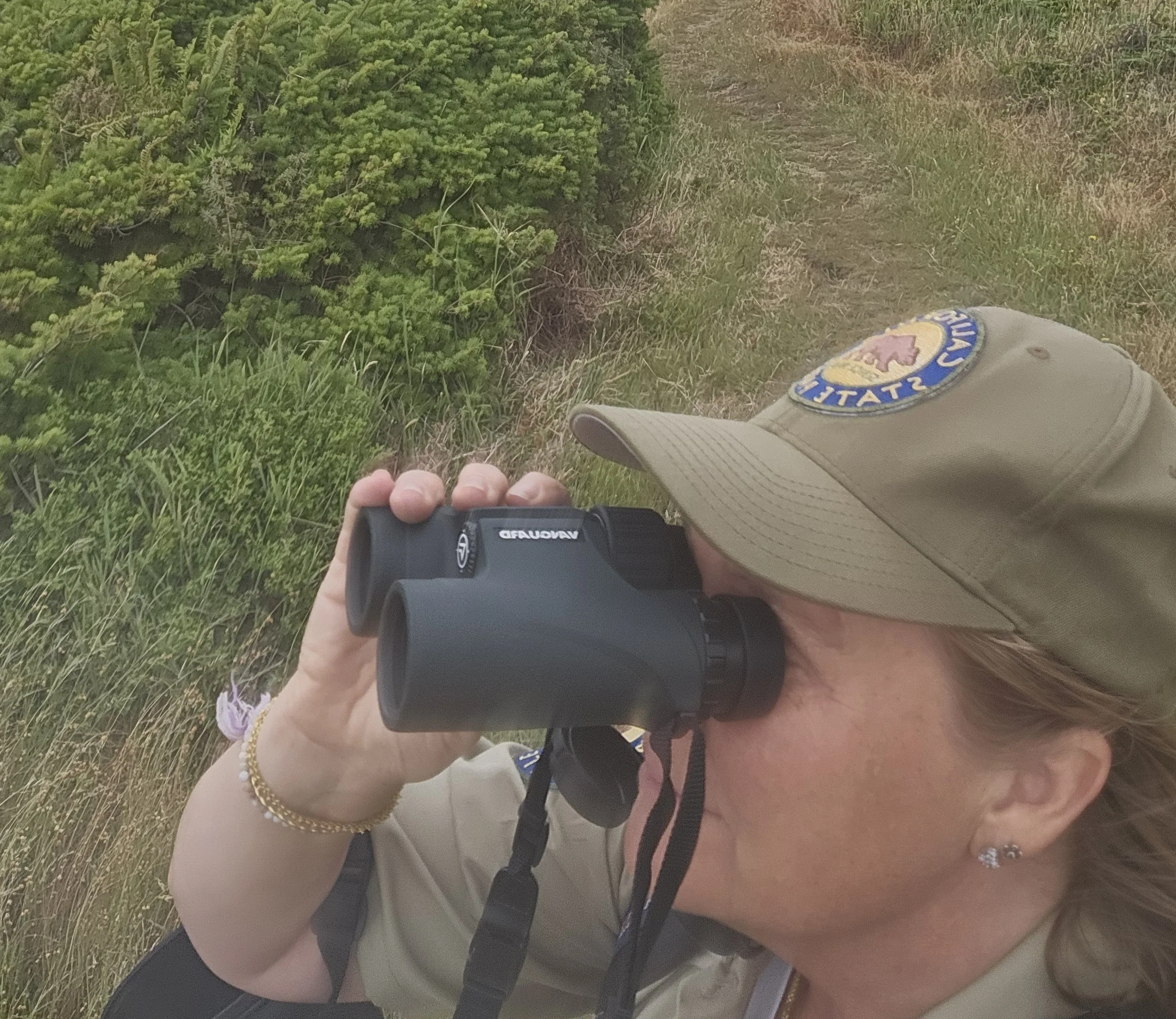 Bird Watching Walk (Manchester)