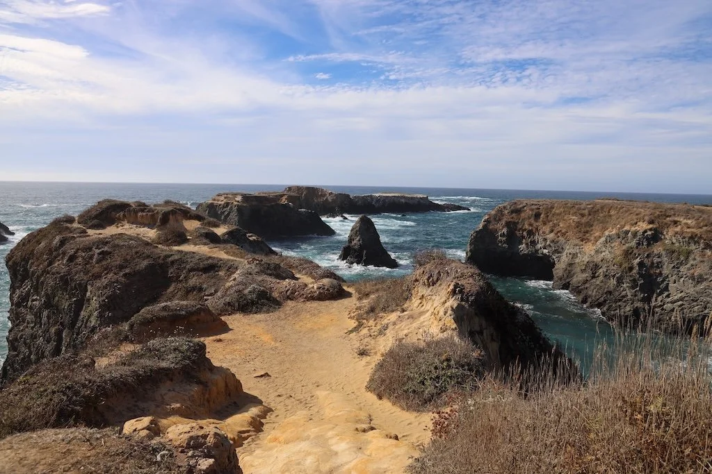 Mendocino Headlands Trail Restoration Event