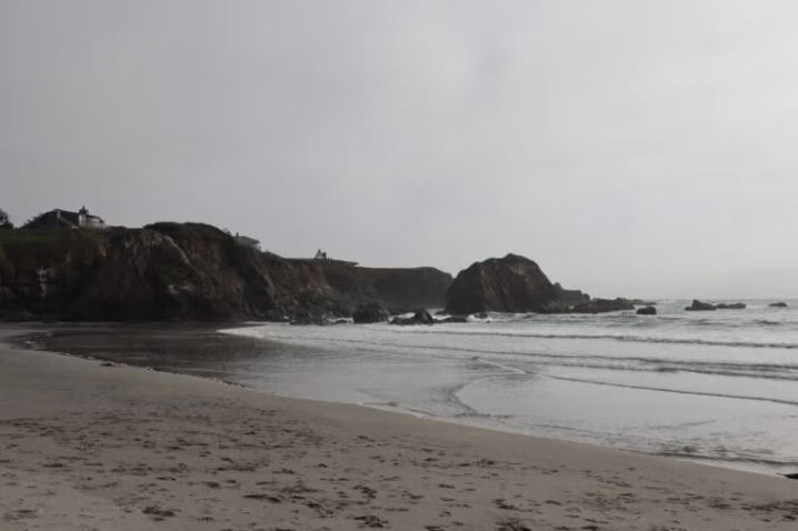 Hare Creek Beach Cleanup!