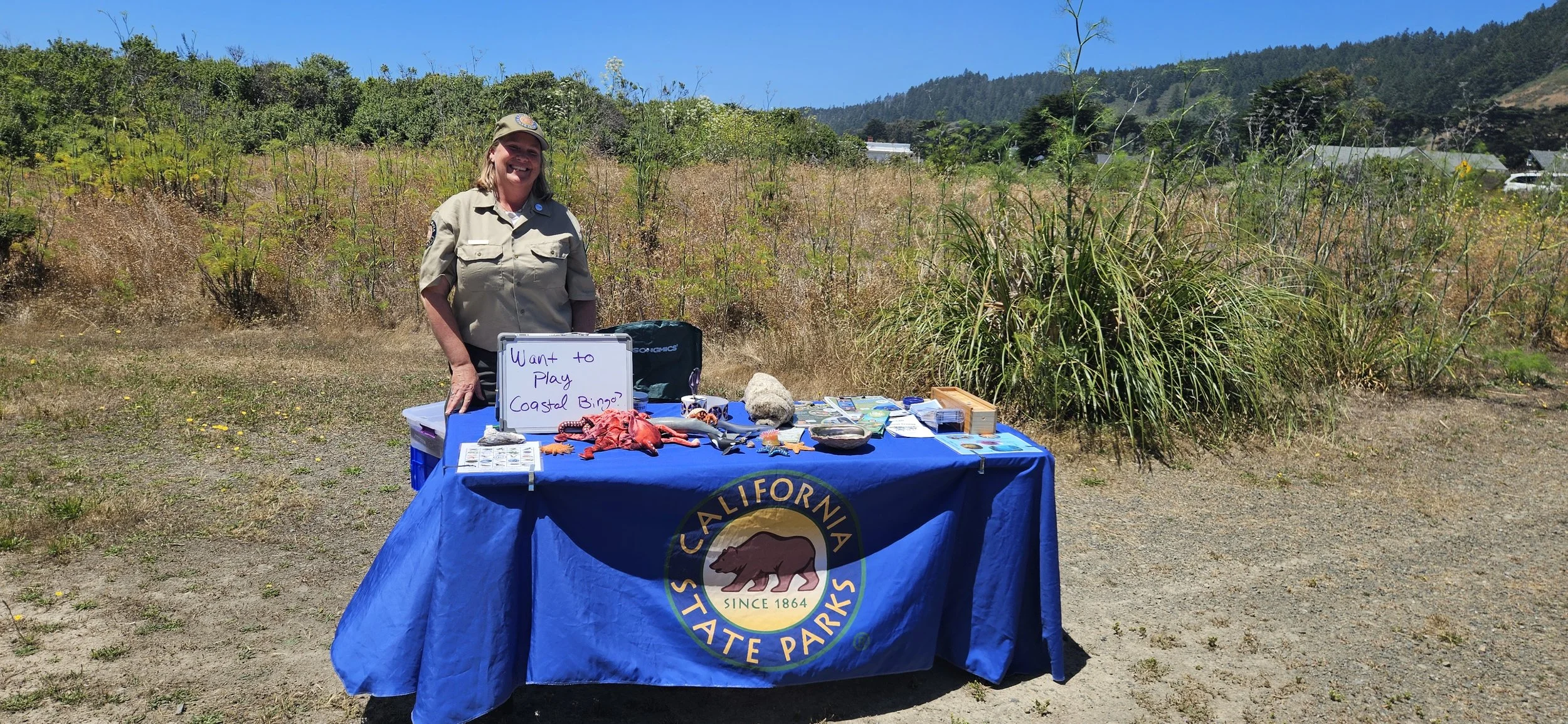 Greenwood State Beach Tabling