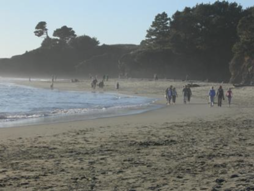 Roll Out the Matt Beach Accessibility Event