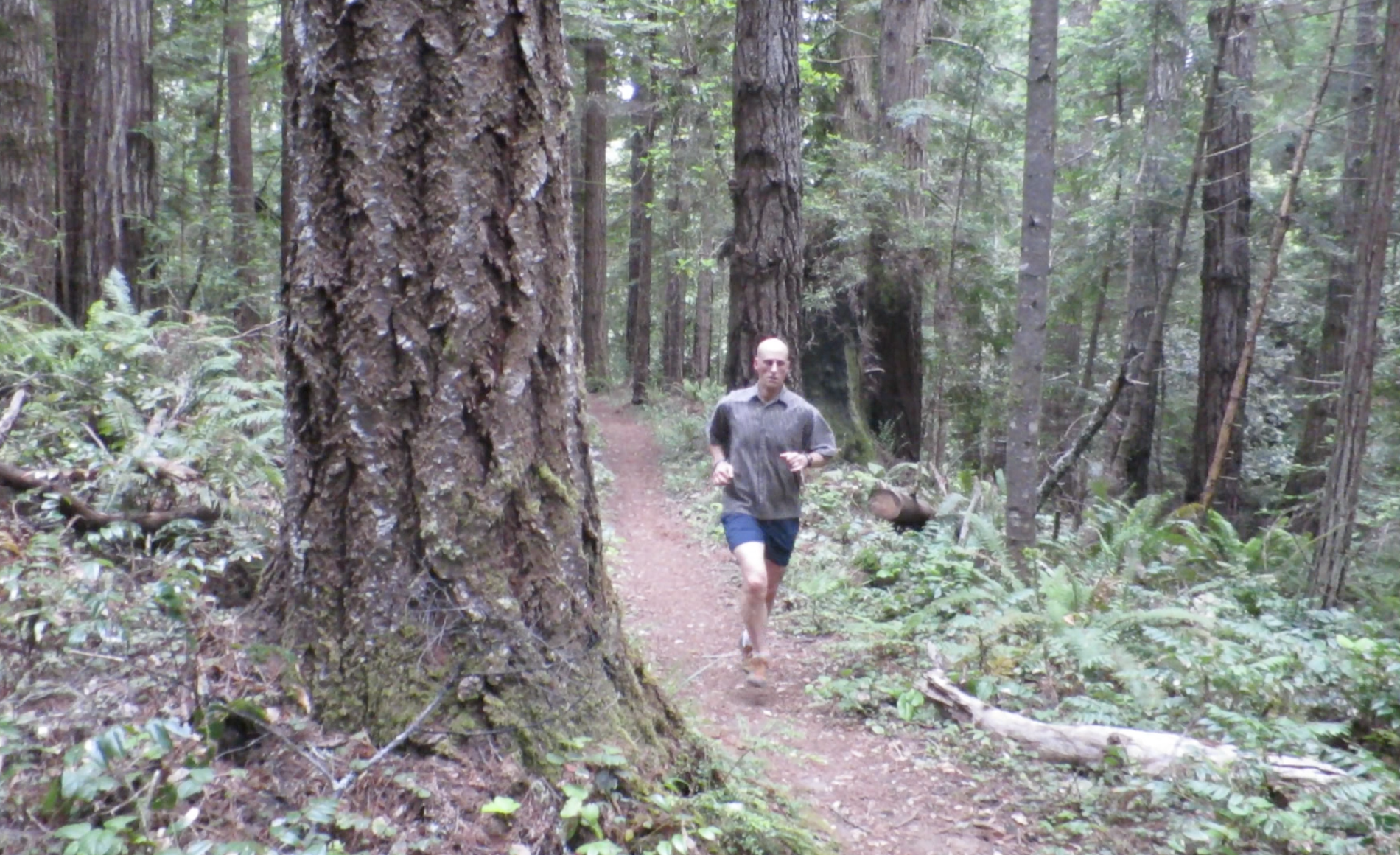 Jug Handle Nature Run