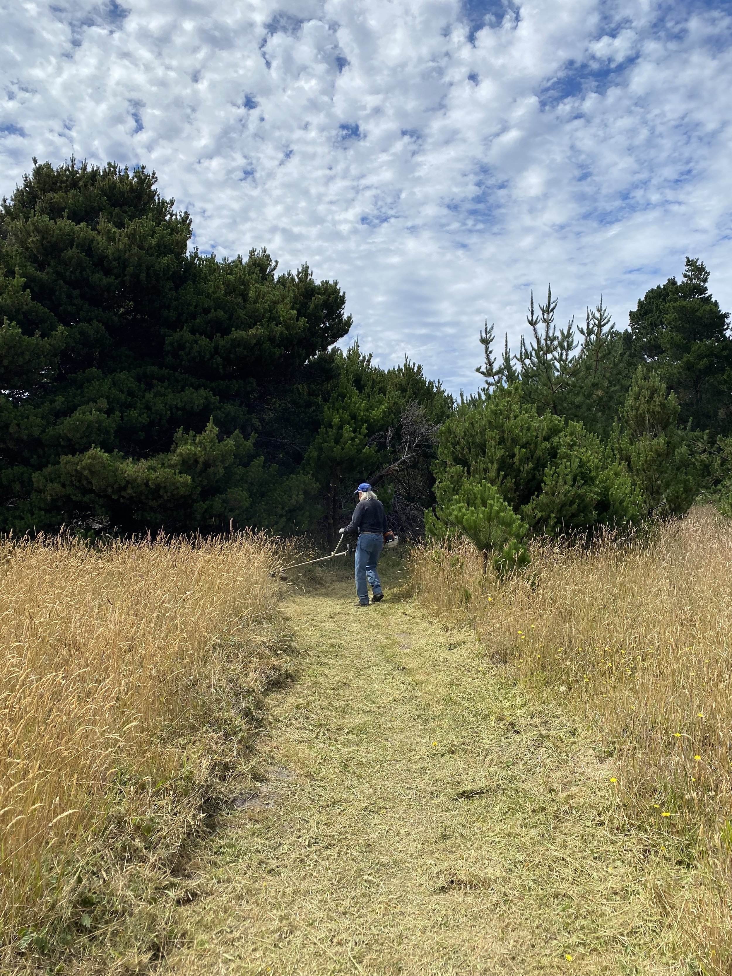 Caspar Cares Trail Stewards Event (Caspar Headlands)