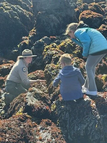 Biodiversity Week Sunset Tide Pooling (MacKerricher)