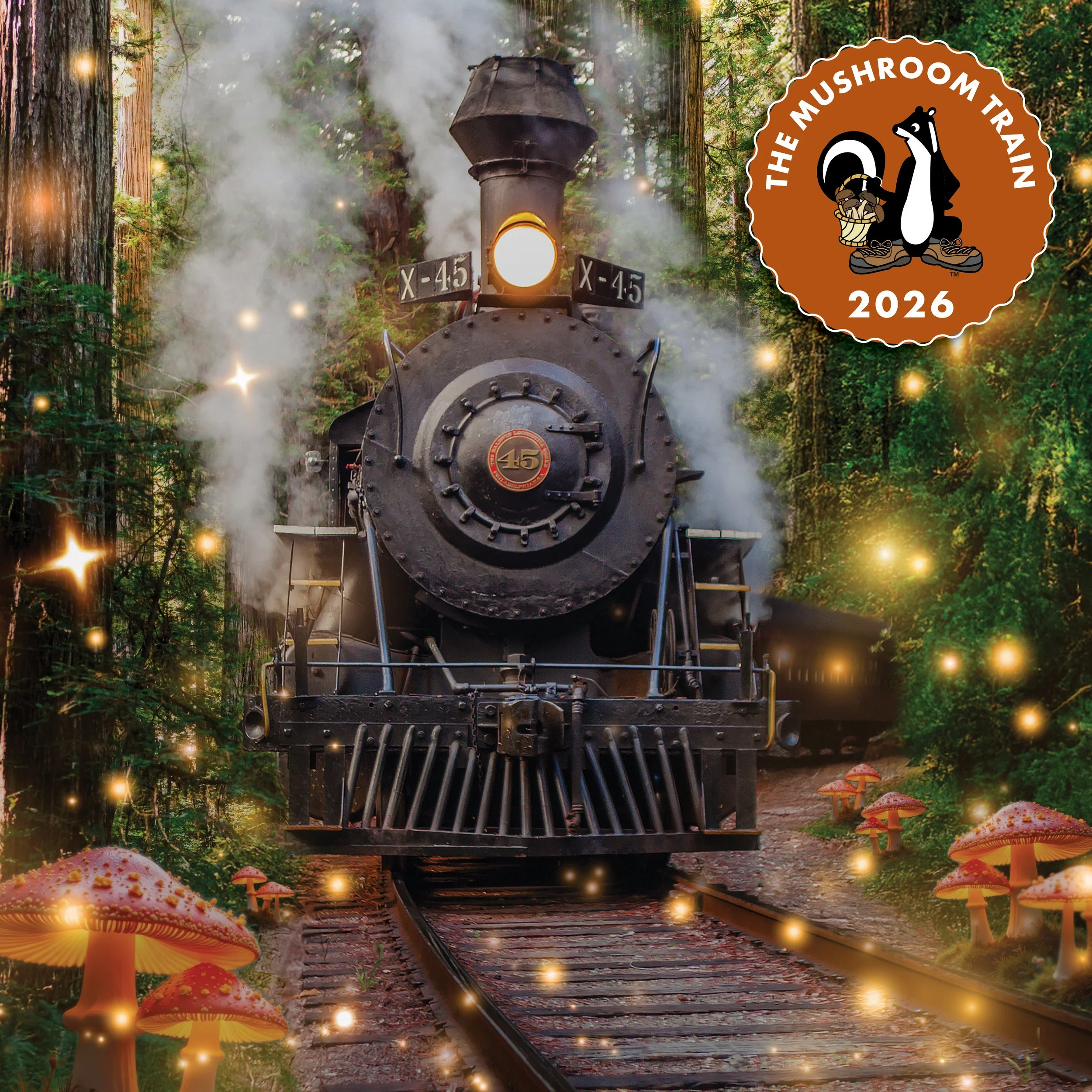 The Musical Mushroom Train!