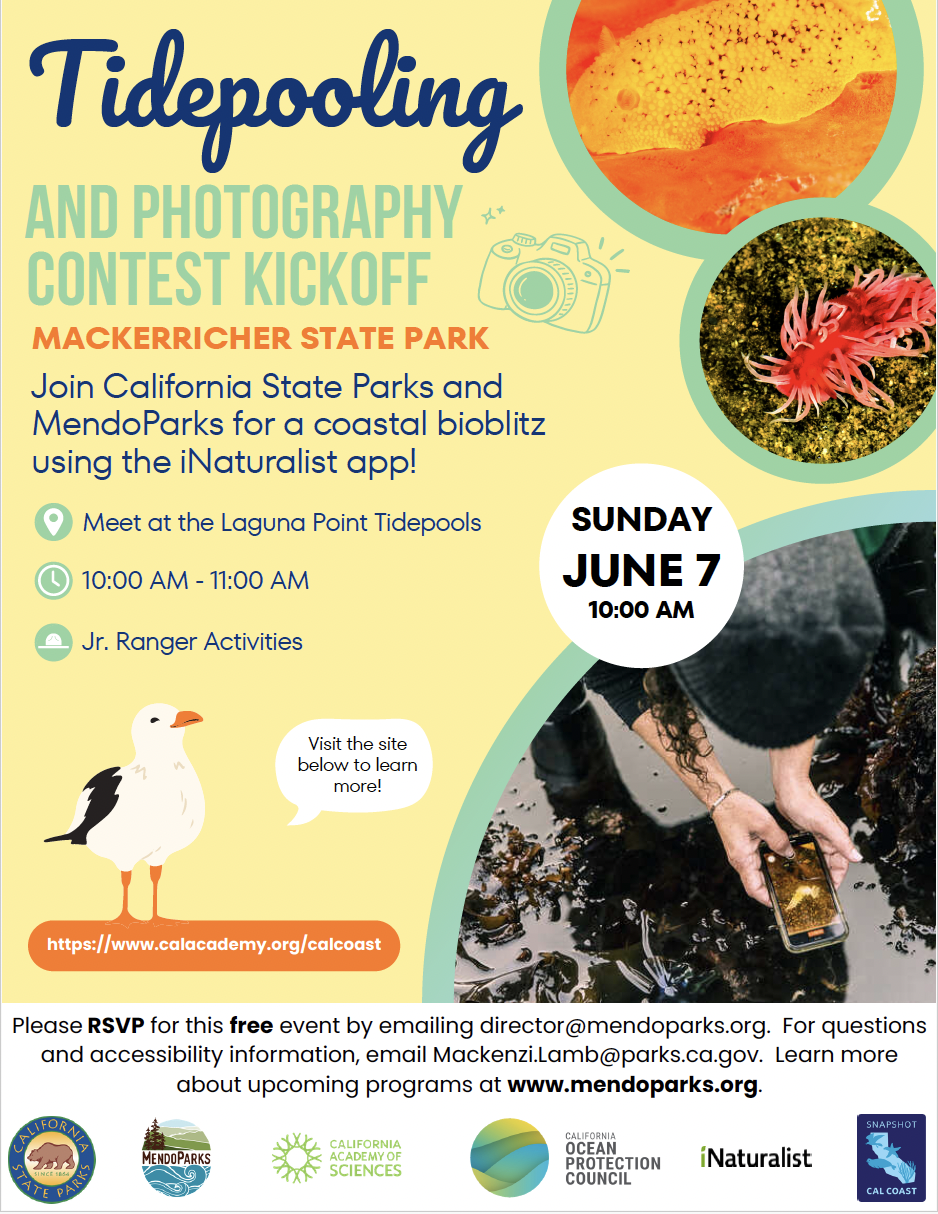 Tidepooling Event Flyer