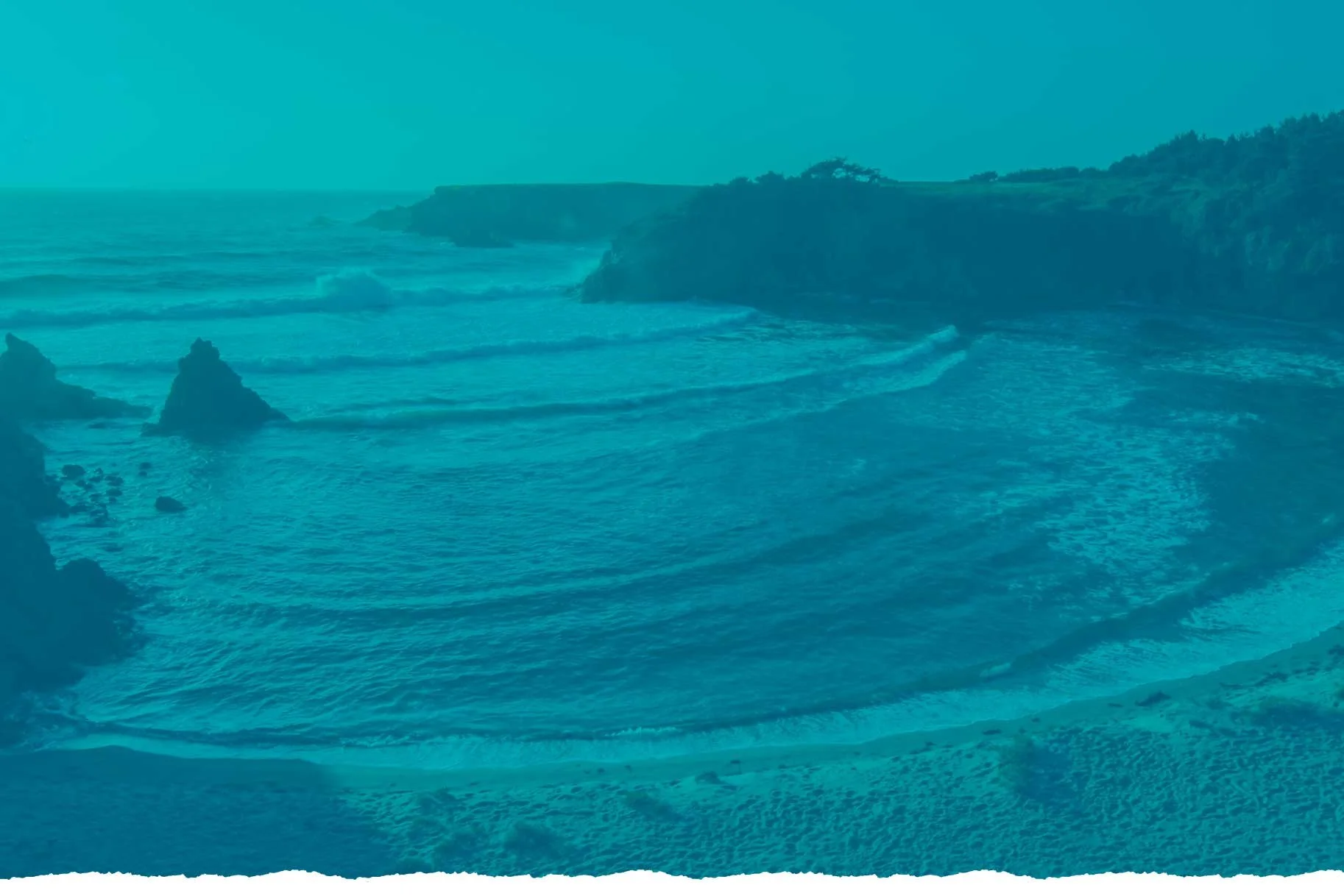 education-downloads-mendoparks