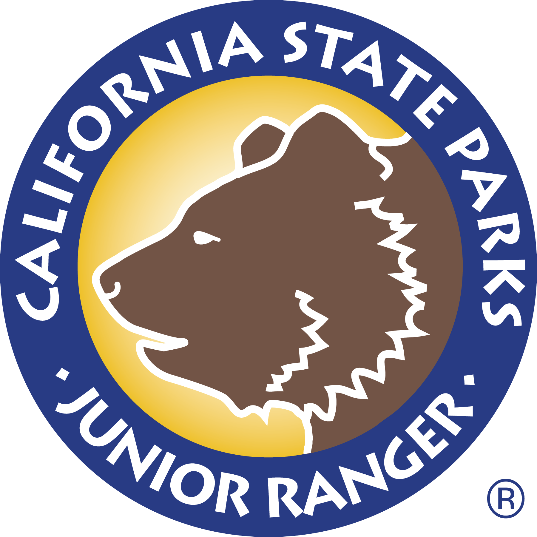 Junior Rangers - MacKerricher!