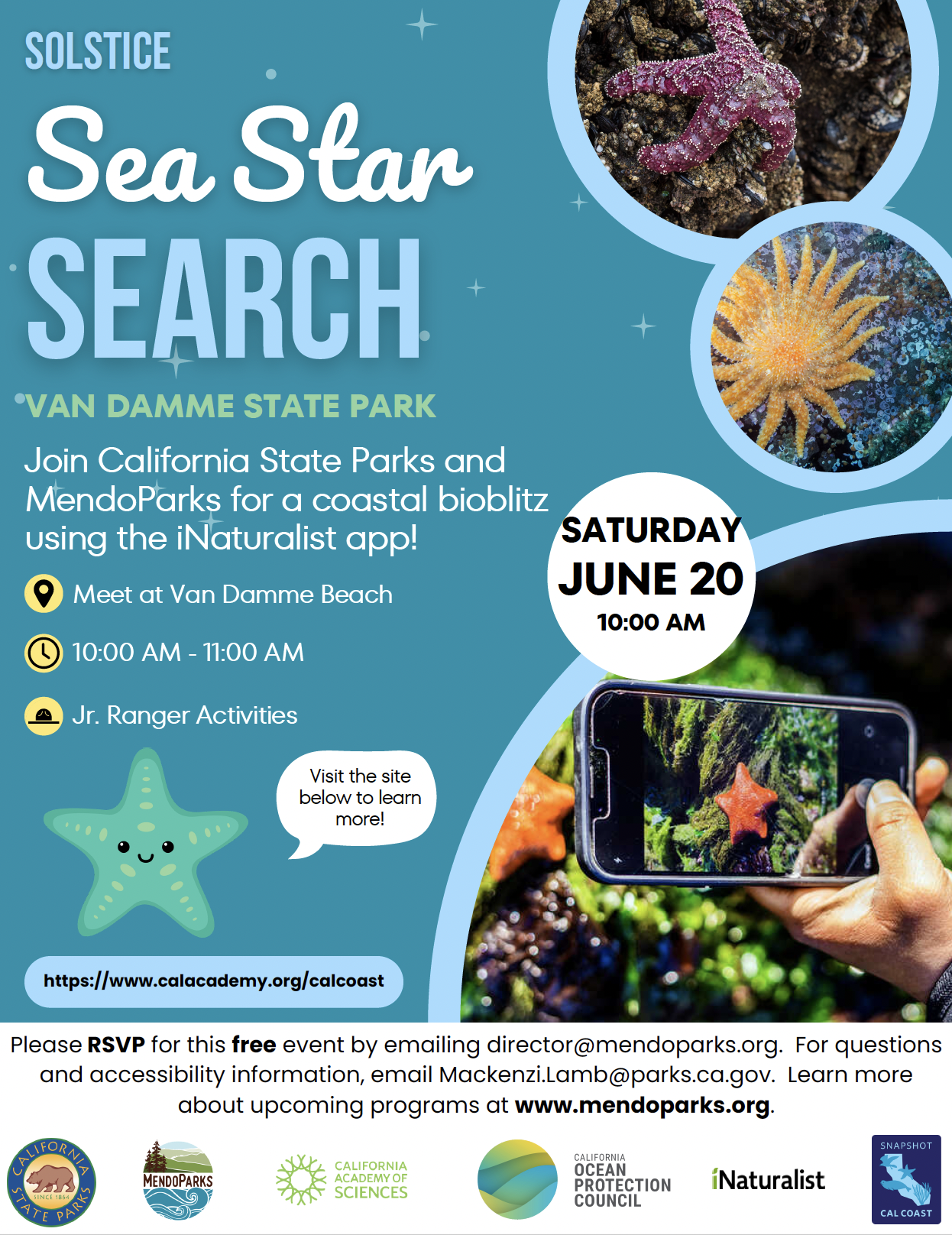 Sea Star Search Flyer