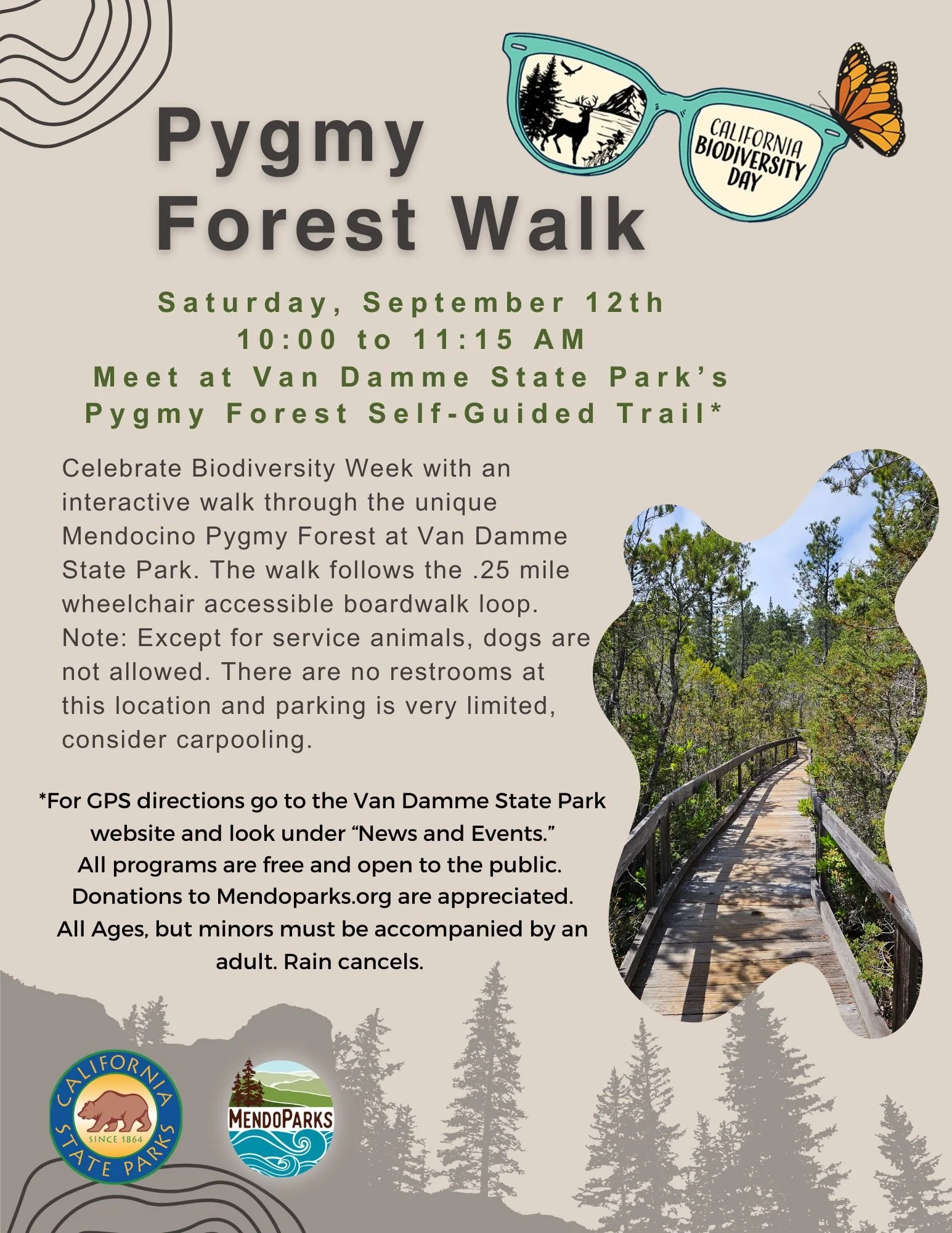 Pygmy Forest Walk