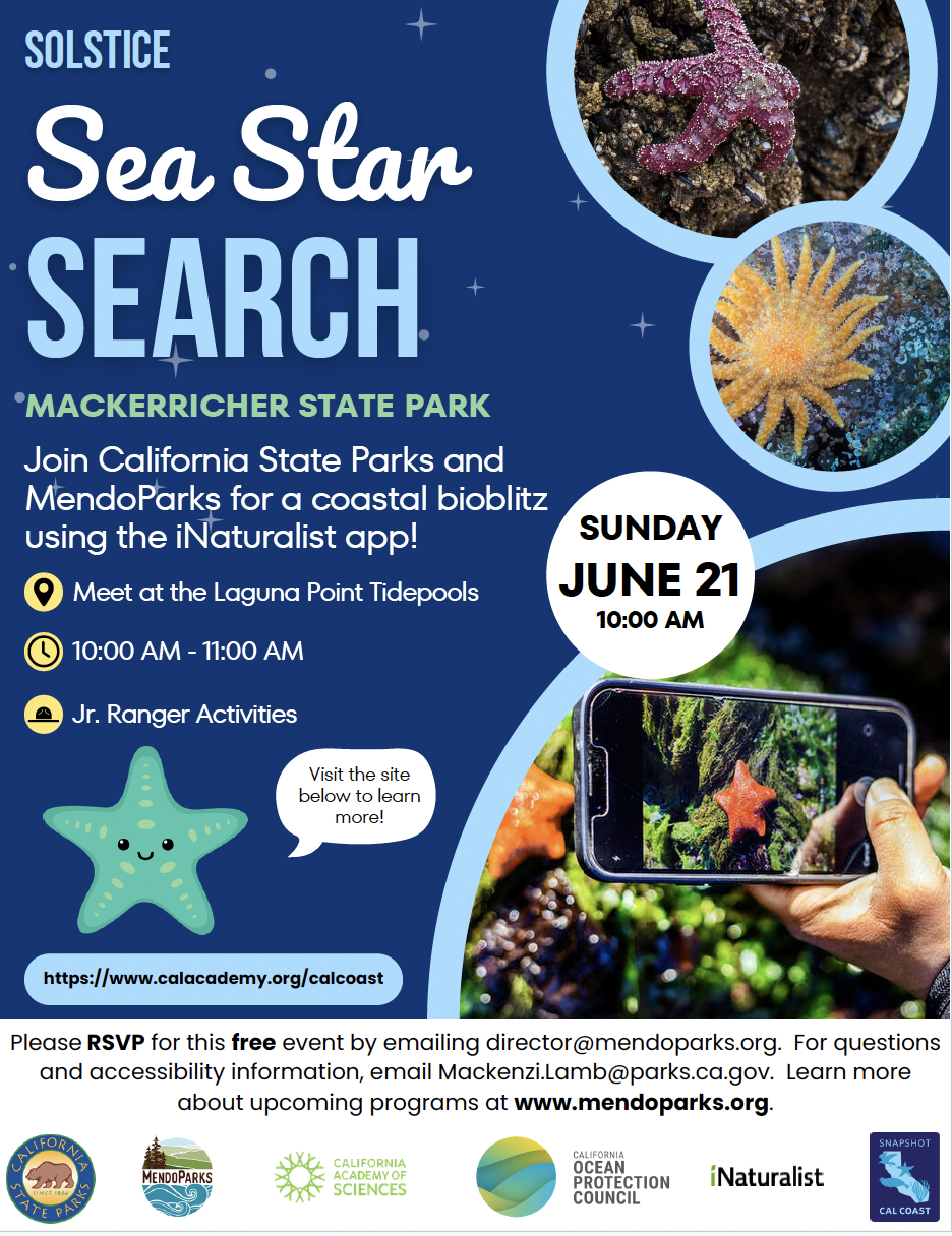 Sea Star Search Flyer