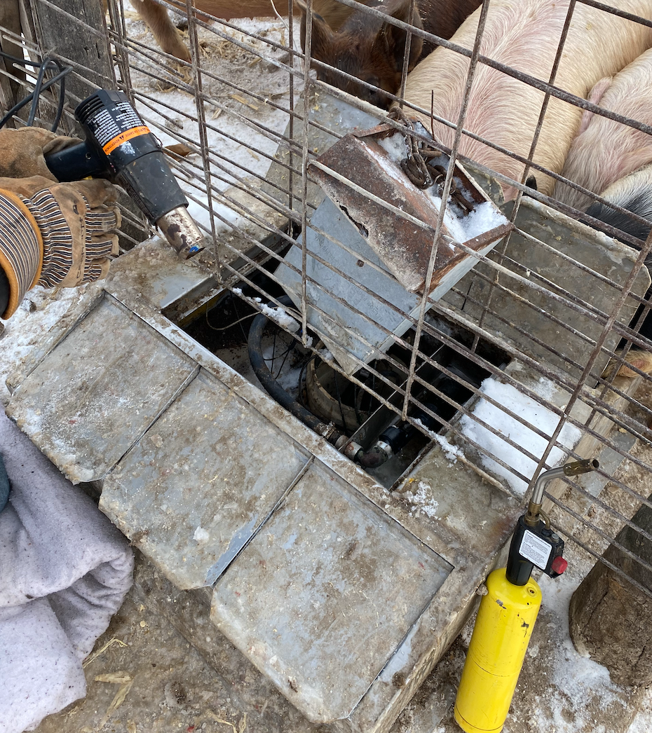 Man with gloves and a heat gun getting ready to thaw a frozen pipe in a hog waterer in an Iowa winter