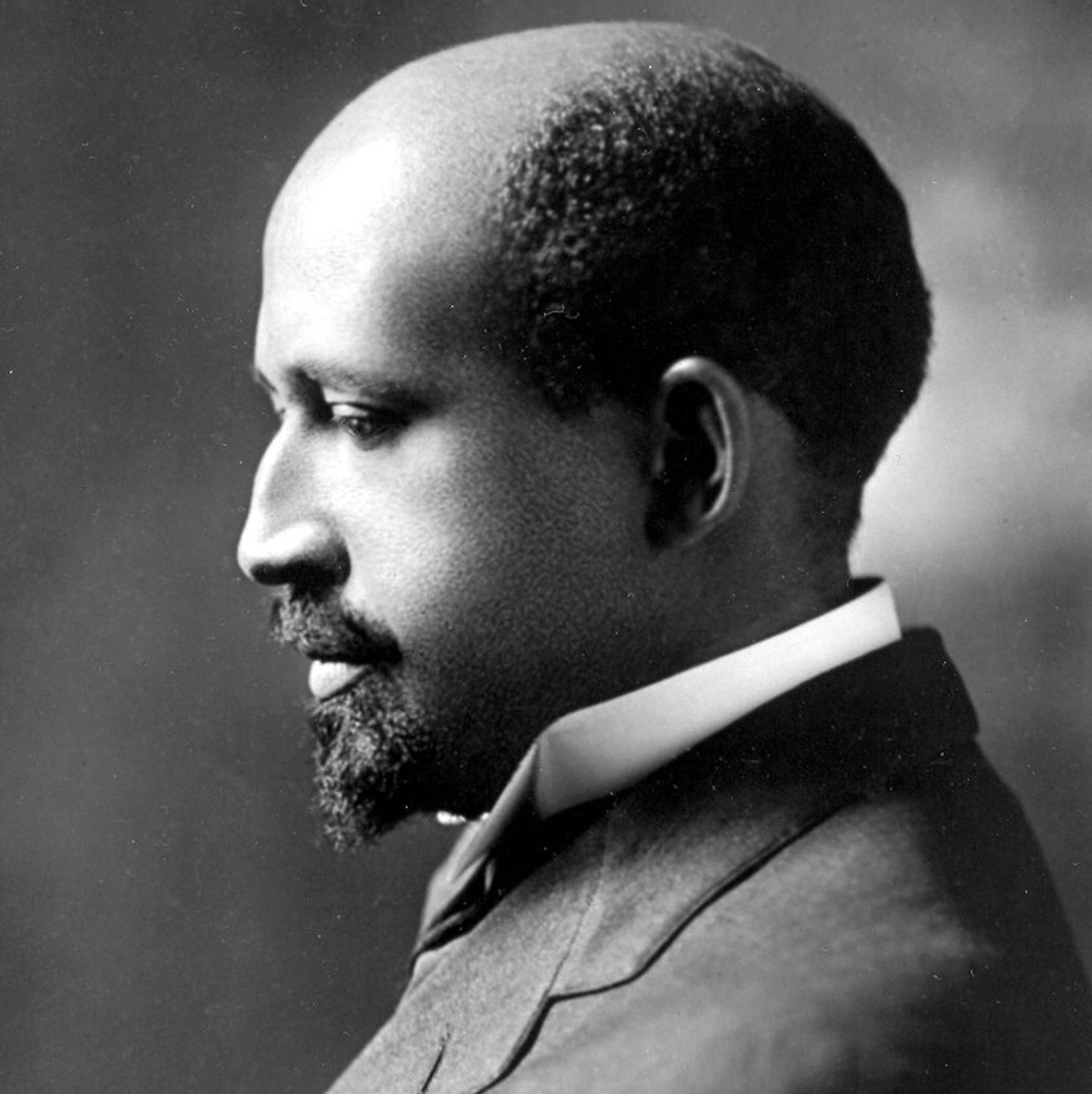 Du Bois profile SQ.png