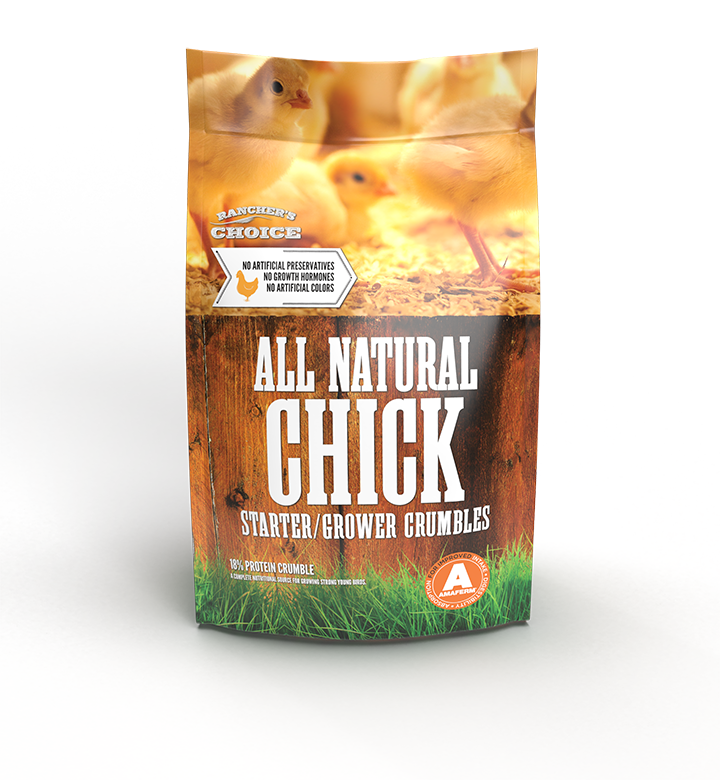 Chicken Feed Basics: Types, Nutrition & Feeding Tips — Merriam Feed + Seed