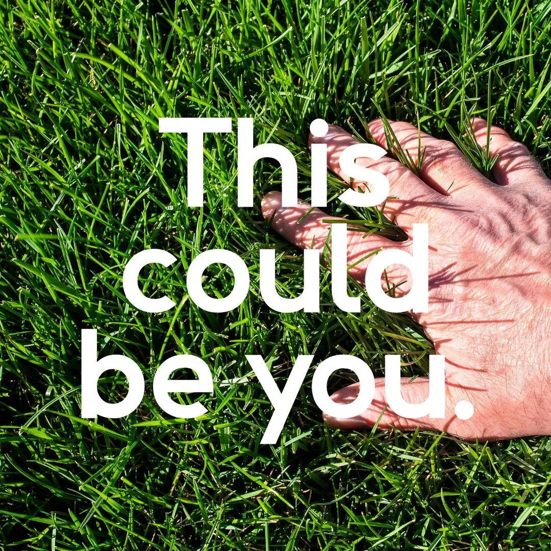 This could be your lawn by spring. Plant it now.