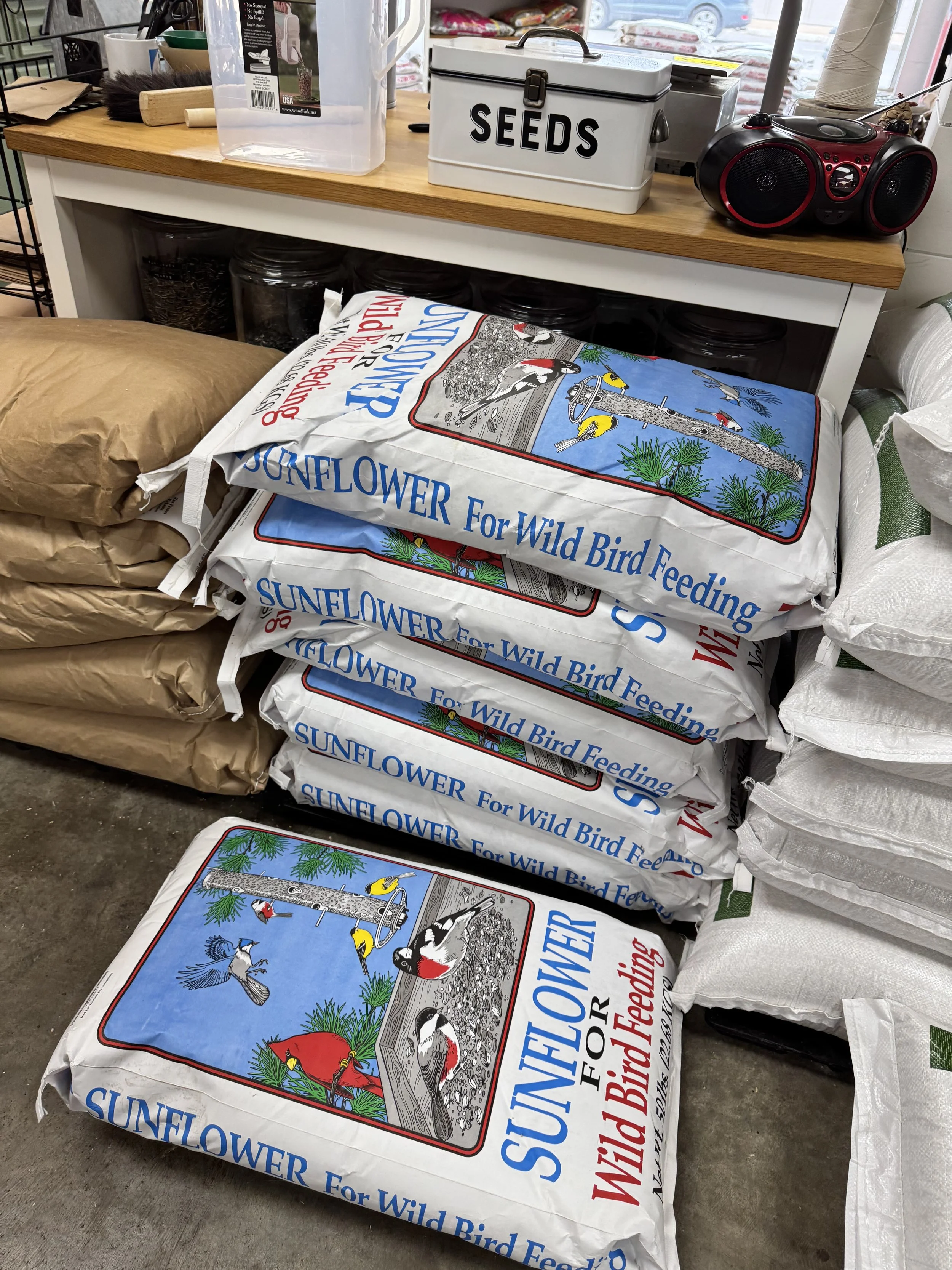 Black oil sunflower seeds for backyard birds in Kansas City