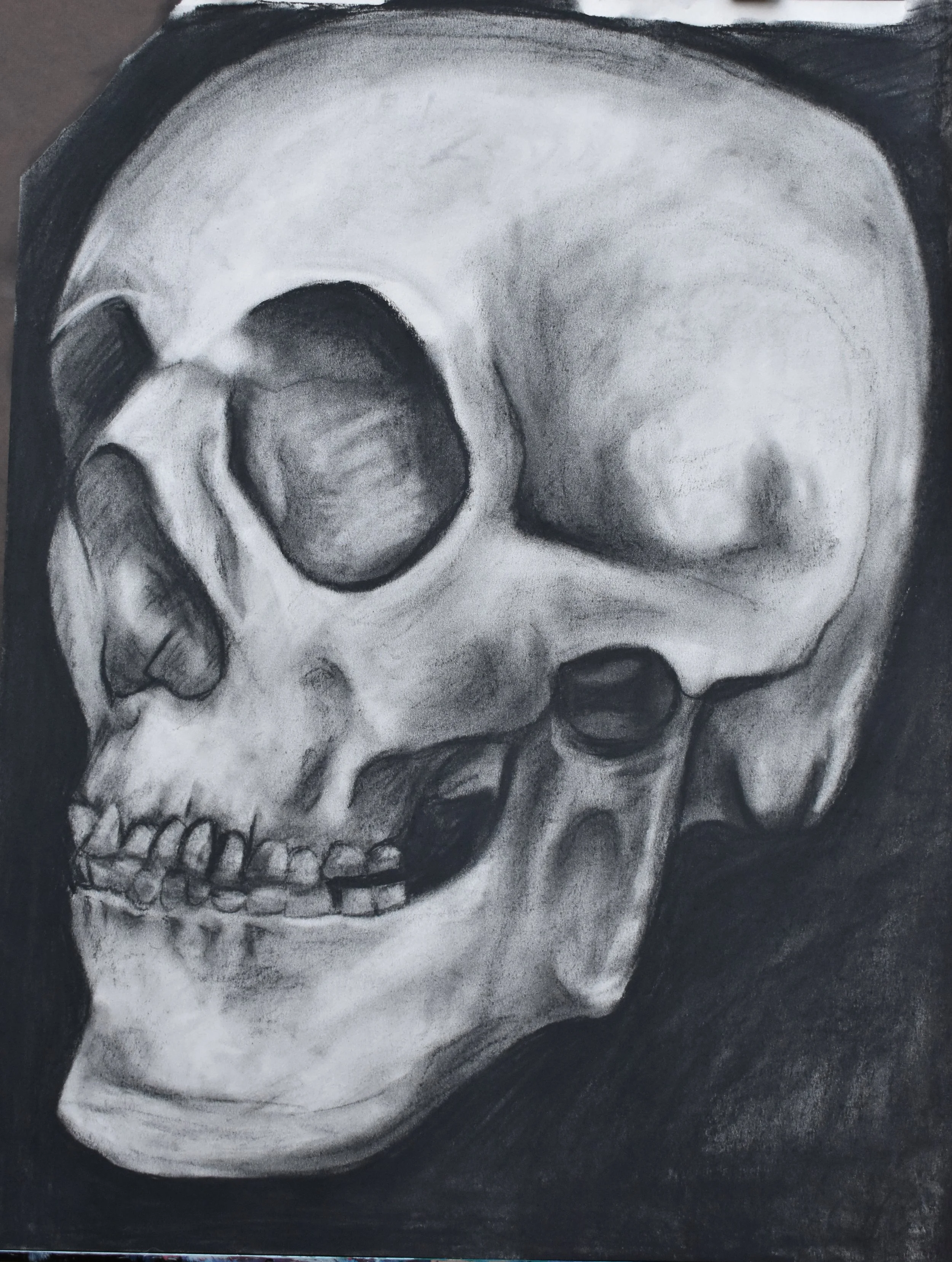 skull for sticker.JPG