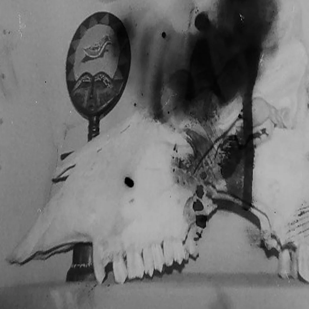 fixed expo new holga skuls.jpg