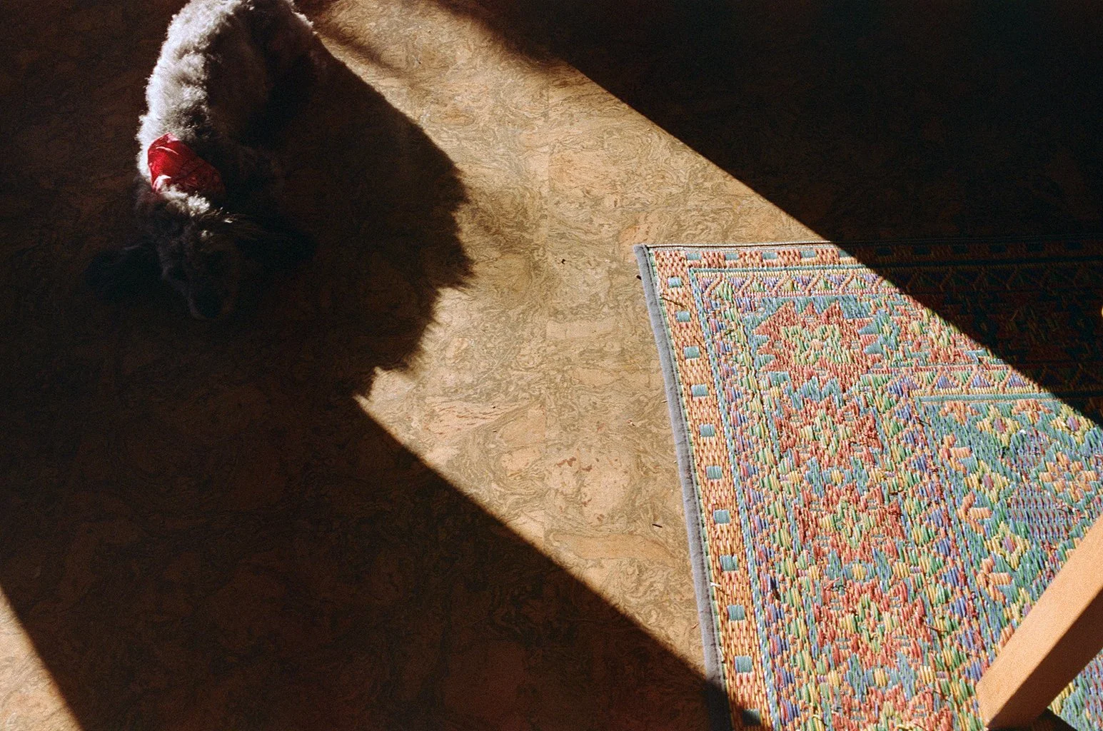 000046530002.jpg