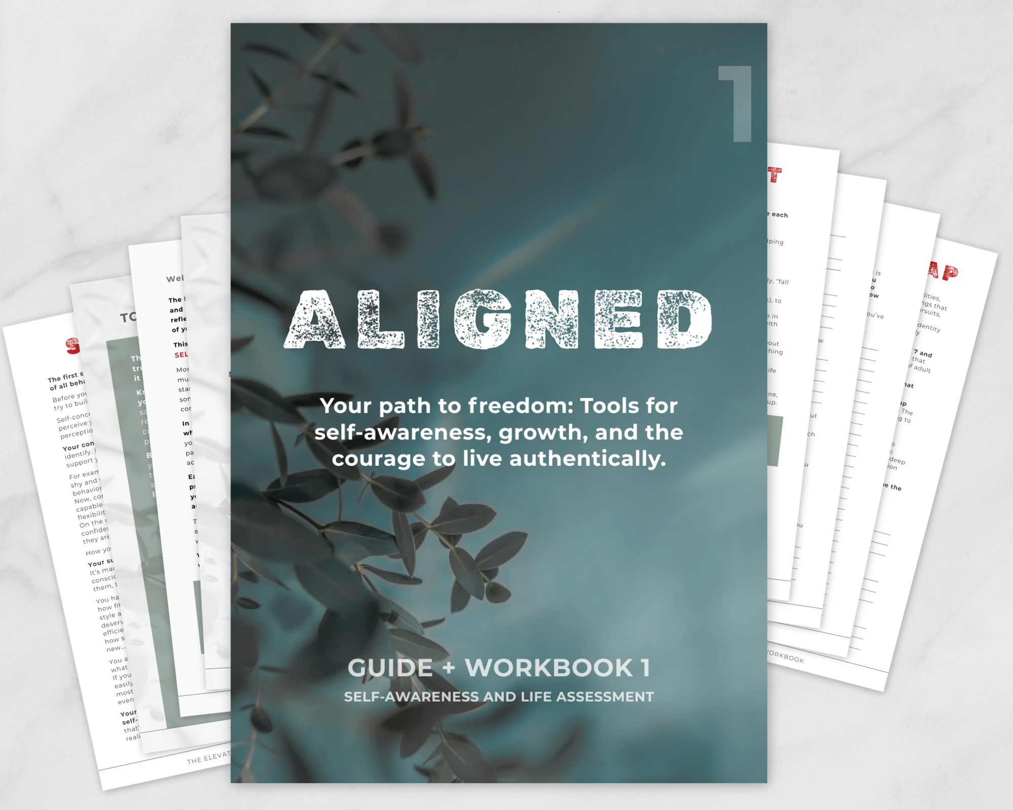 ALIGNED Guide + Workbook - tools to live authentically