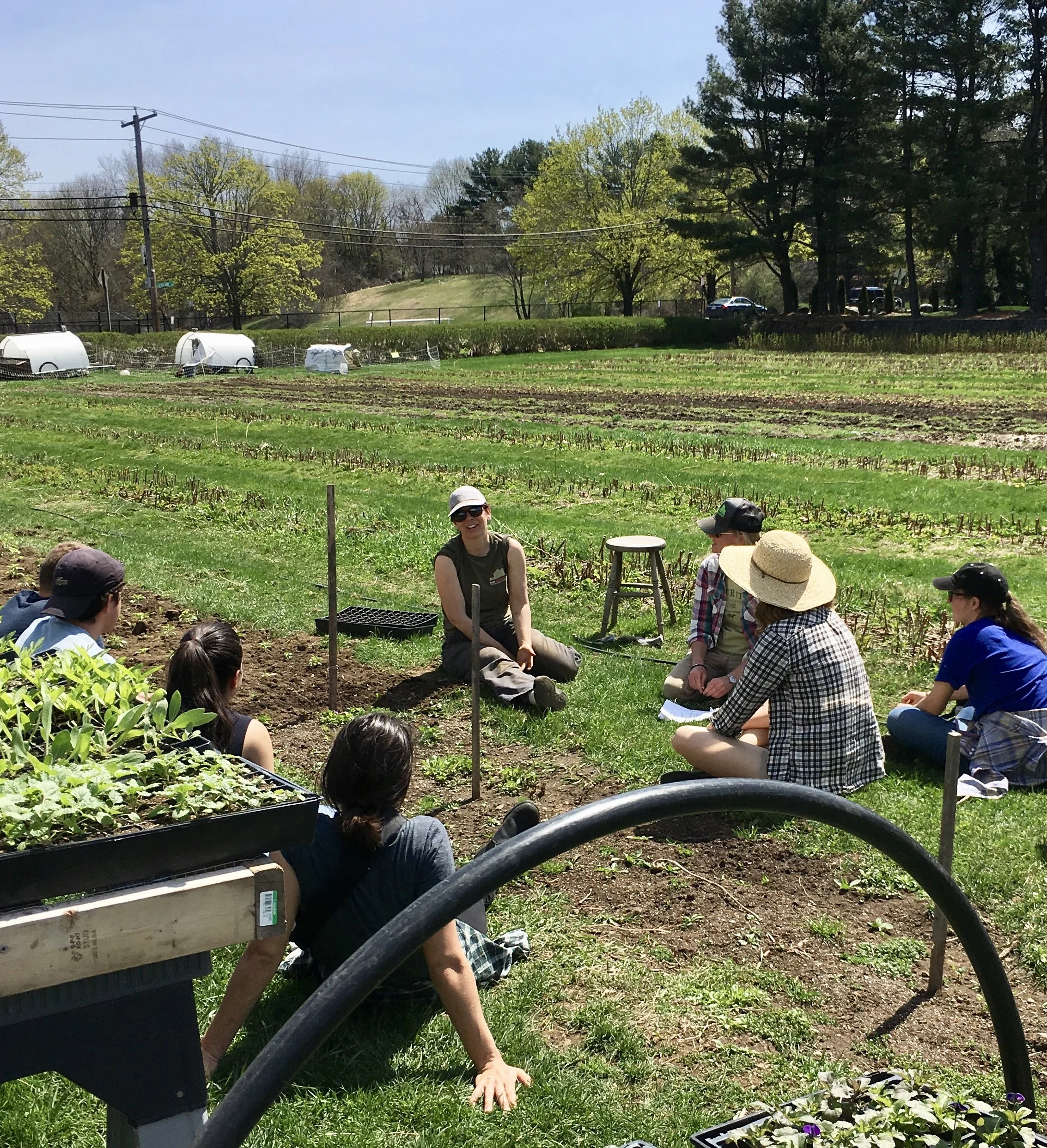 Adrienne teaching future farmers from Tufts.jpeg