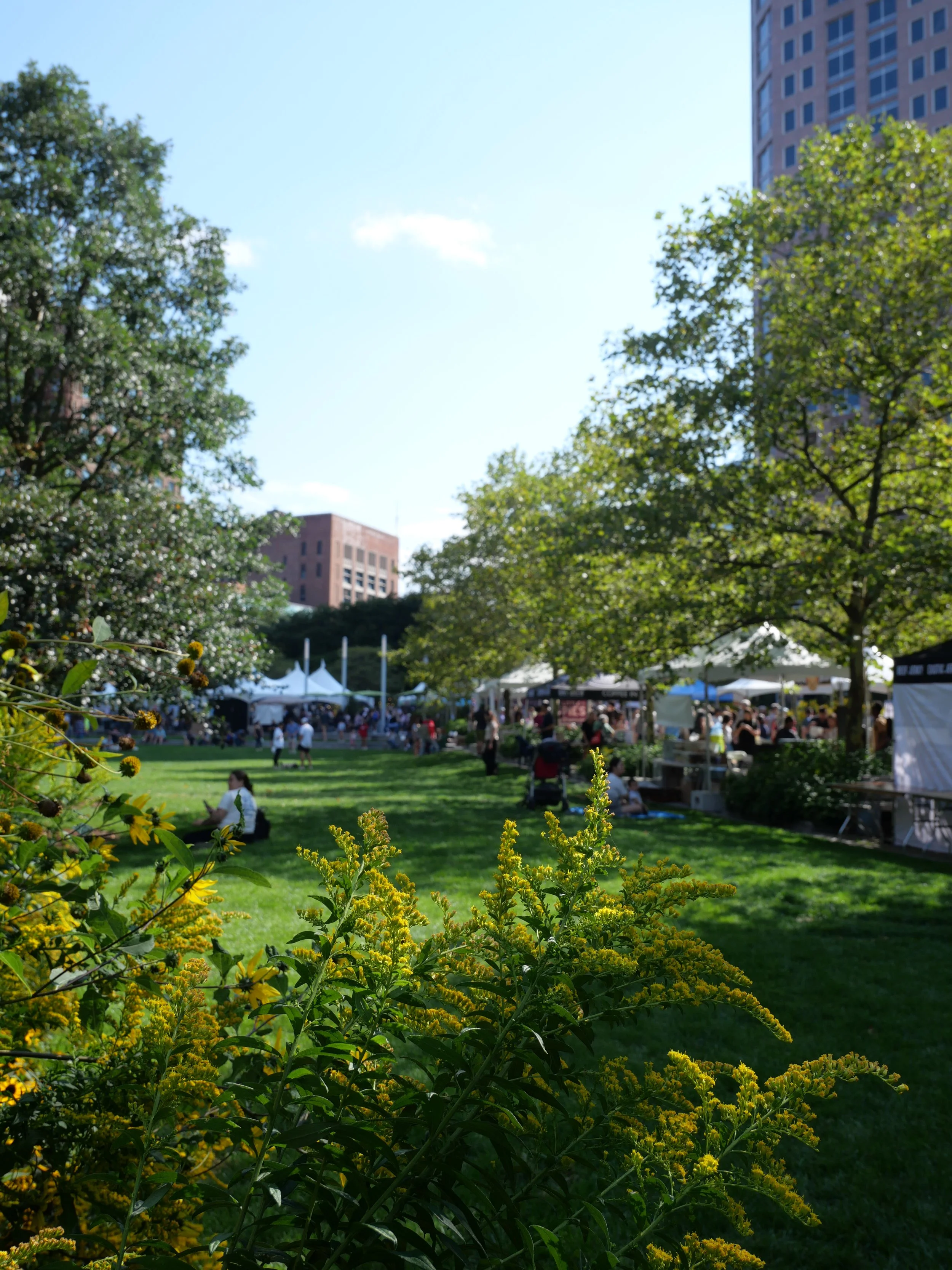 FESTIVAL + FLOWERS.JPG