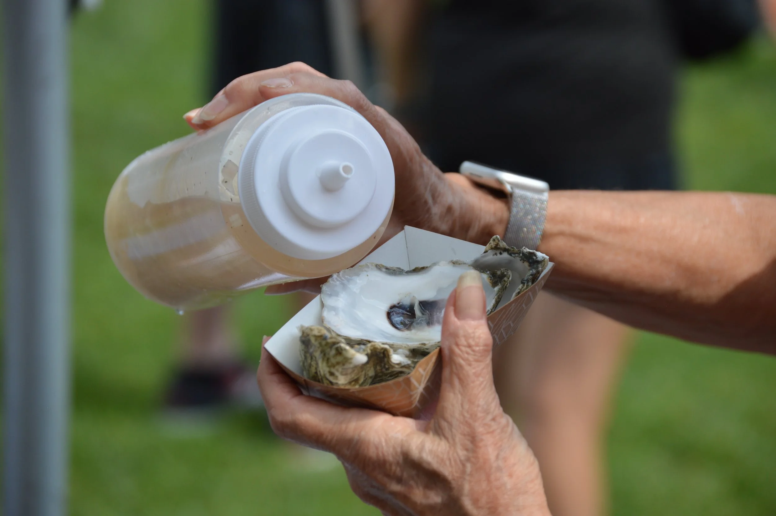 DuckIsland Shellfish.JPG