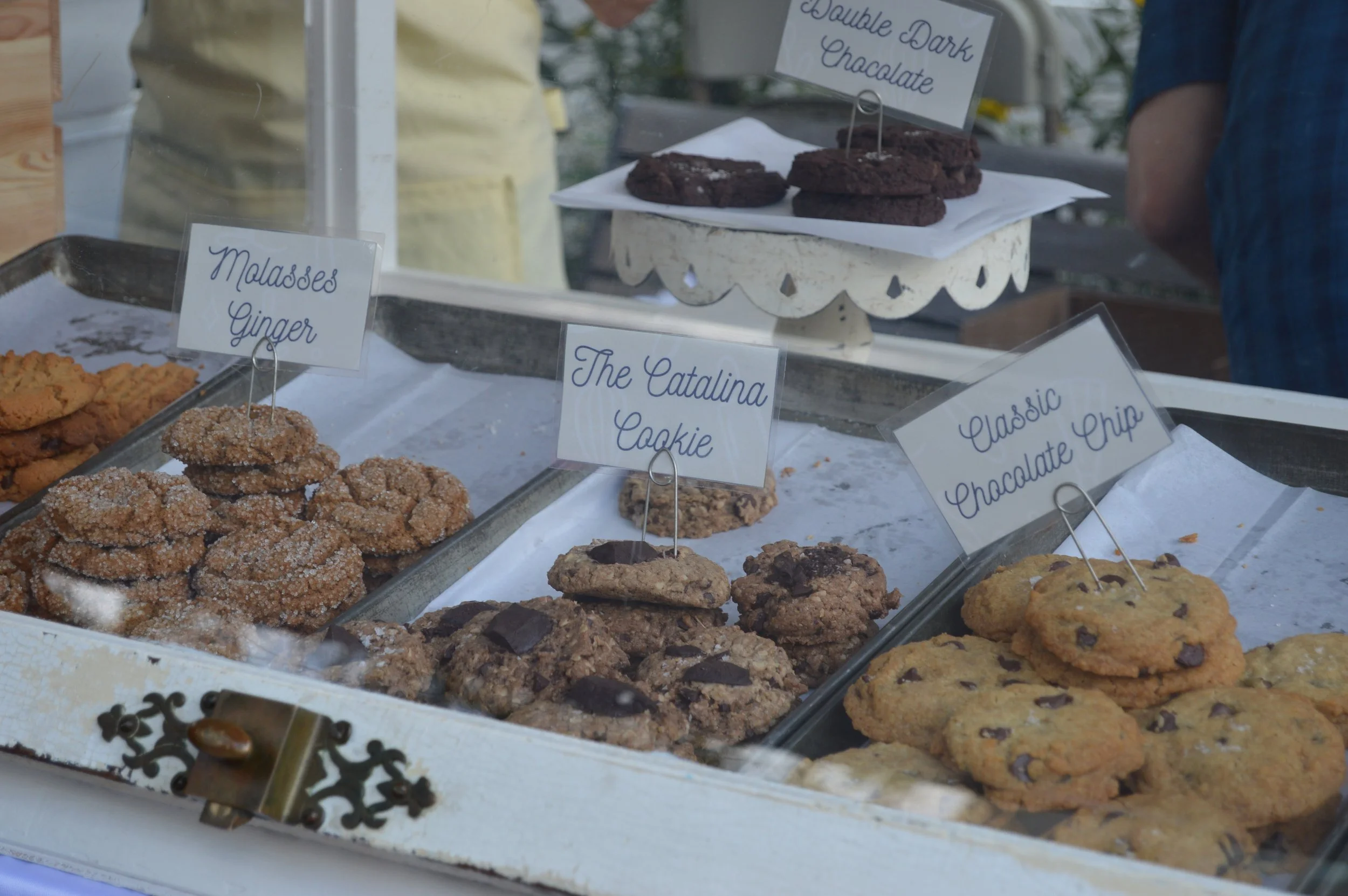Piping Plover (2).JPG