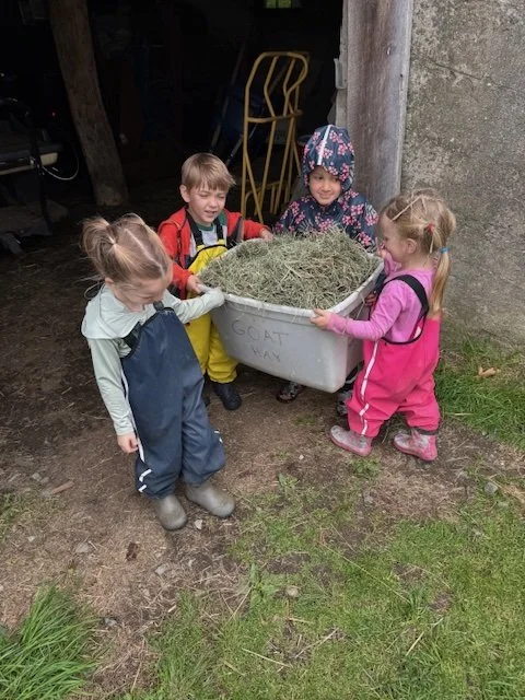 Forest Friends w goat hay.jpg