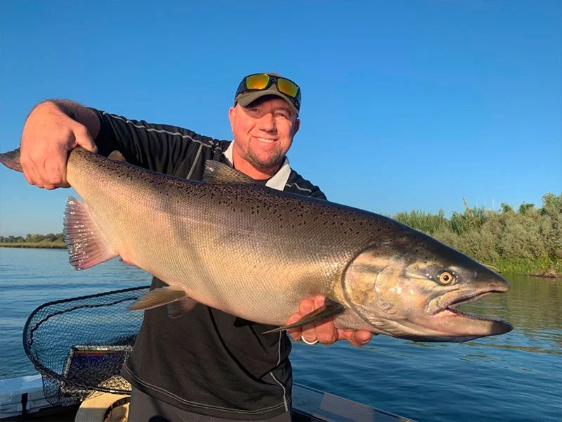 King salmon fishing on the Sacramento River