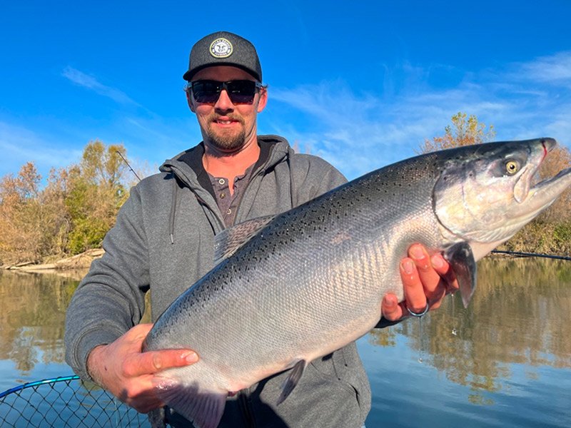 17+ Sacramento Fishing Report