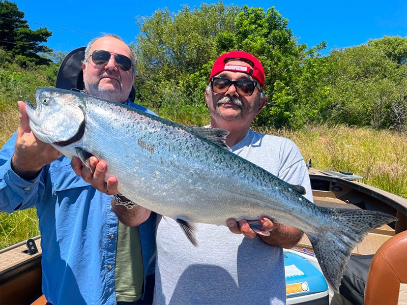Large salmon caught at Gold Beach with Kirk Portocarrero