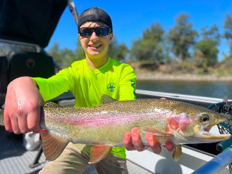 Wild rainbow trout fishing on the Sacramento River.