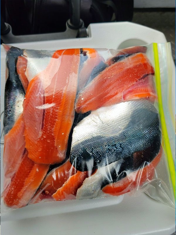 Bag of Kokanee caught at Whiskeytown Lake, cleaned and ready to cook!