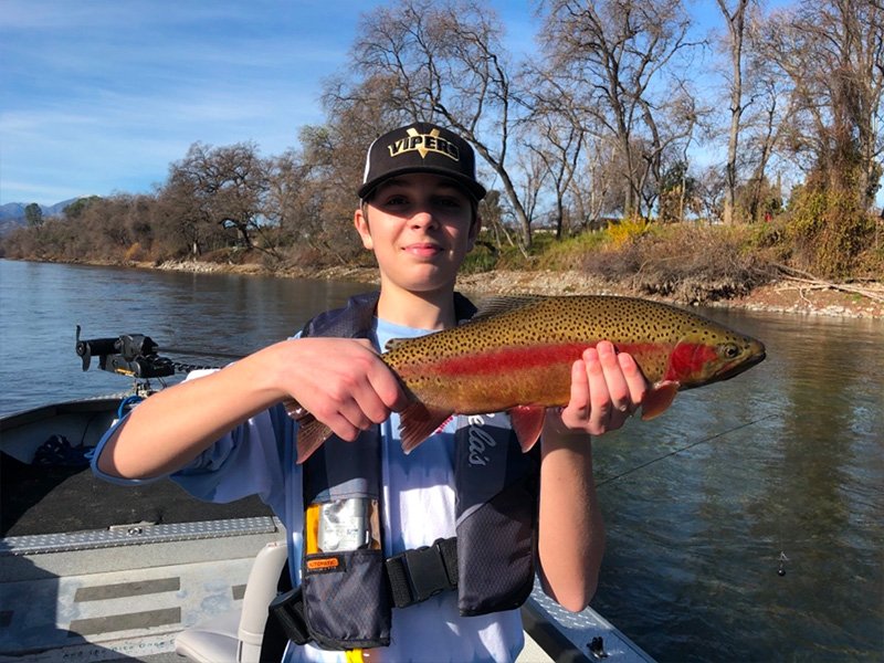 Rainbow Trout fishing on the Sacramento River