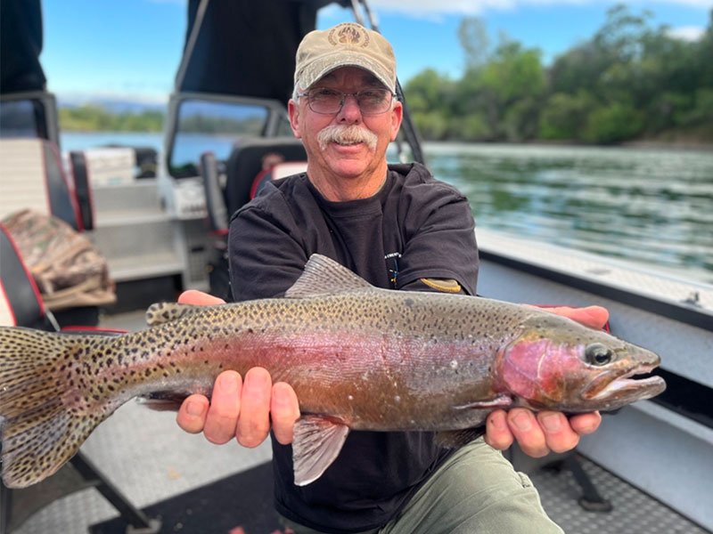 Big fish caught during guided trout fishing trip on the Sacramento River!