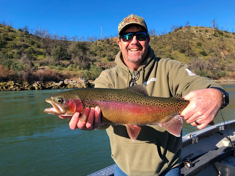 Guided steelhead fishing trip on Sacramento River