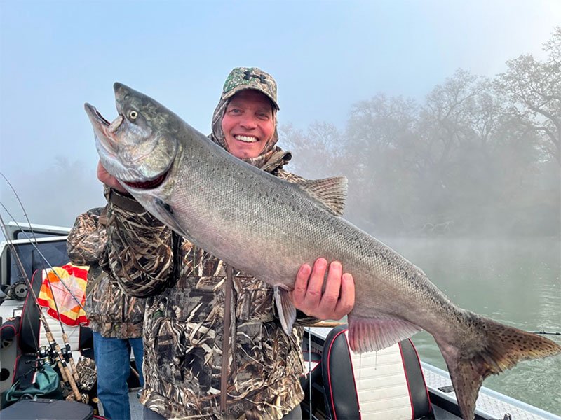 Monster king salmon pulled from the Sacramento River on a guided fishing trip!