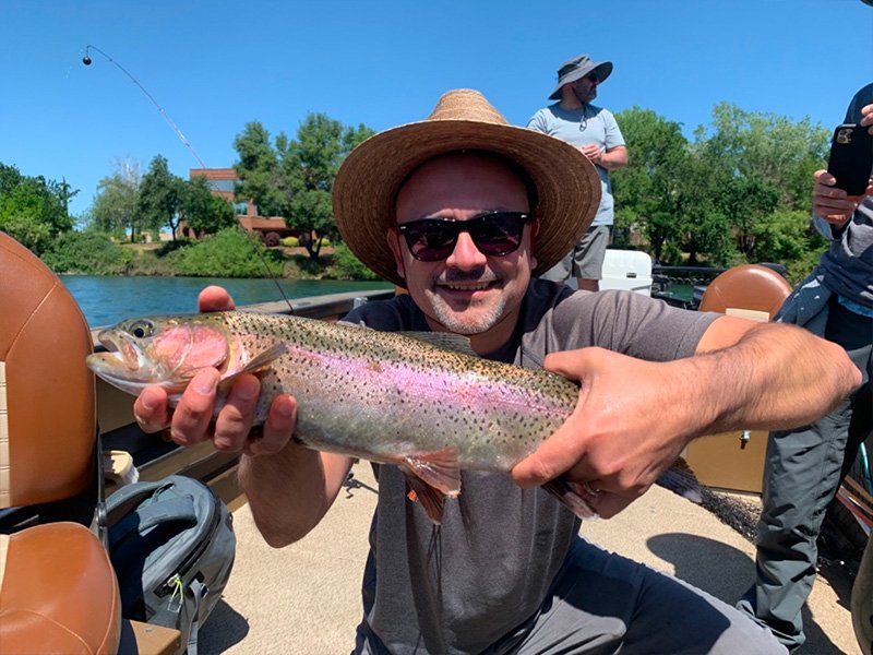 Wild Rainbow Trout on the Sacramento River
