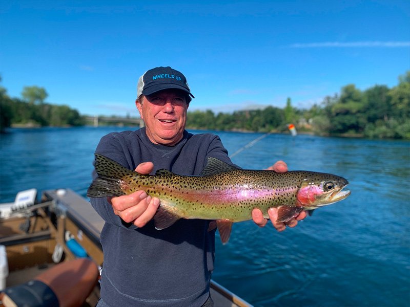 Rainbow Trout fishing in Redding