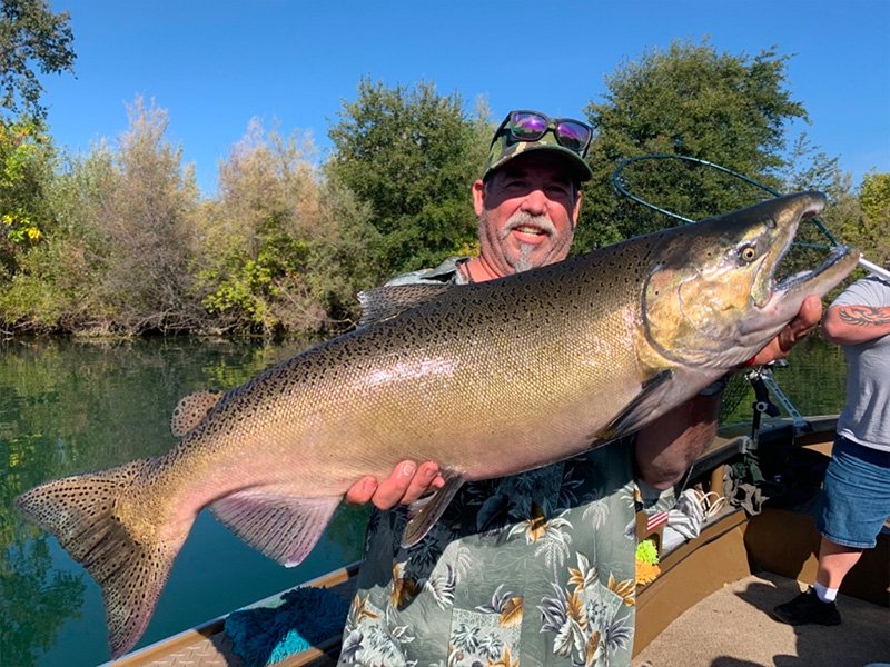 King Salmon Fishing Corning to Red Bluff