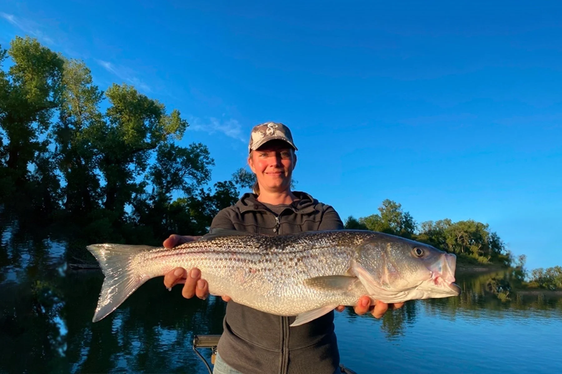 Sacramento River Striped Bass Fishing, Kirk Portocarrero Professional