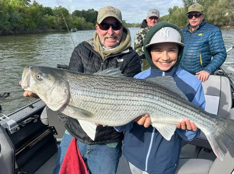 Fisherman holding up striped bass caught in Colusa