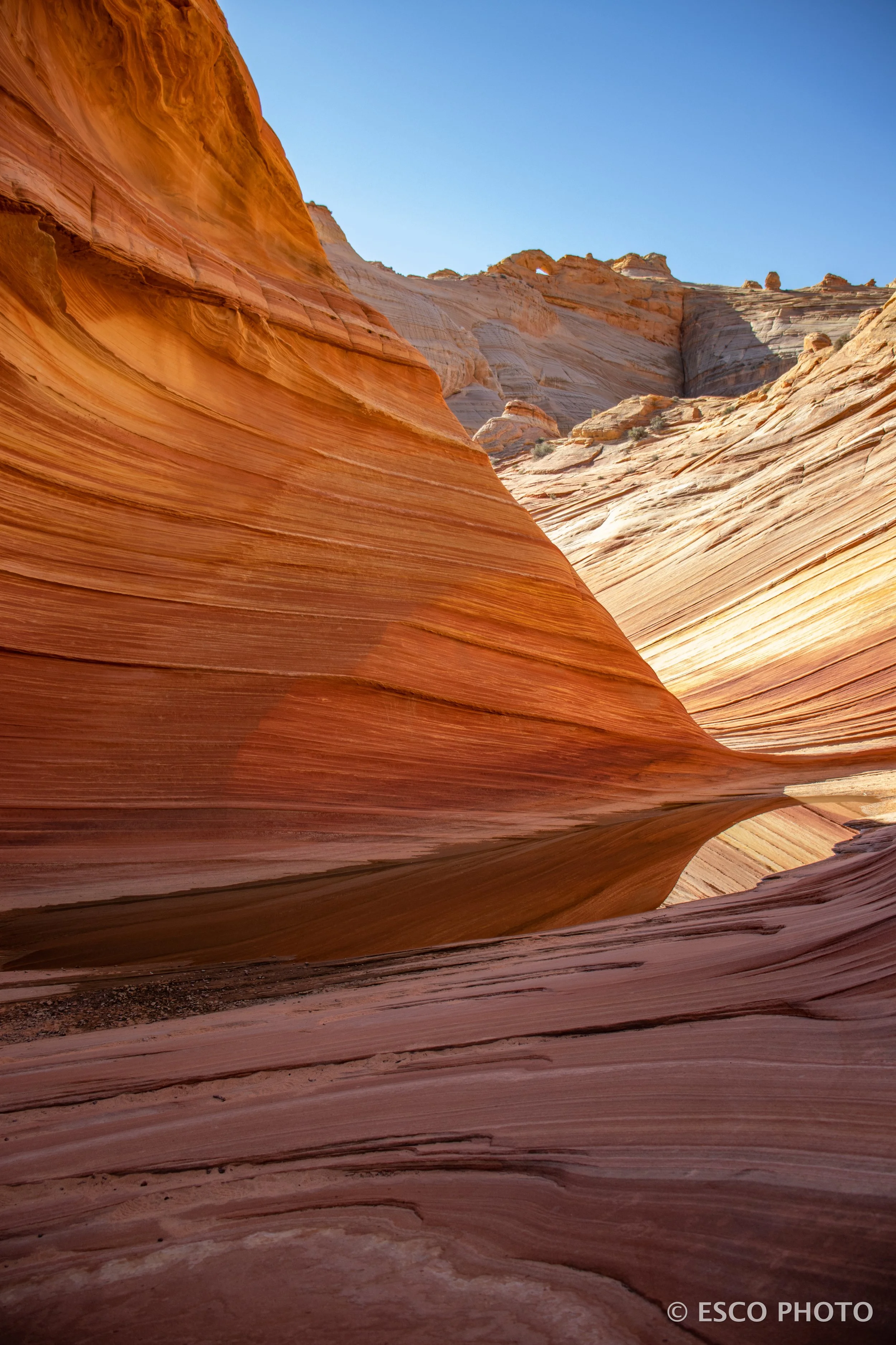 The Wave-033.jpg