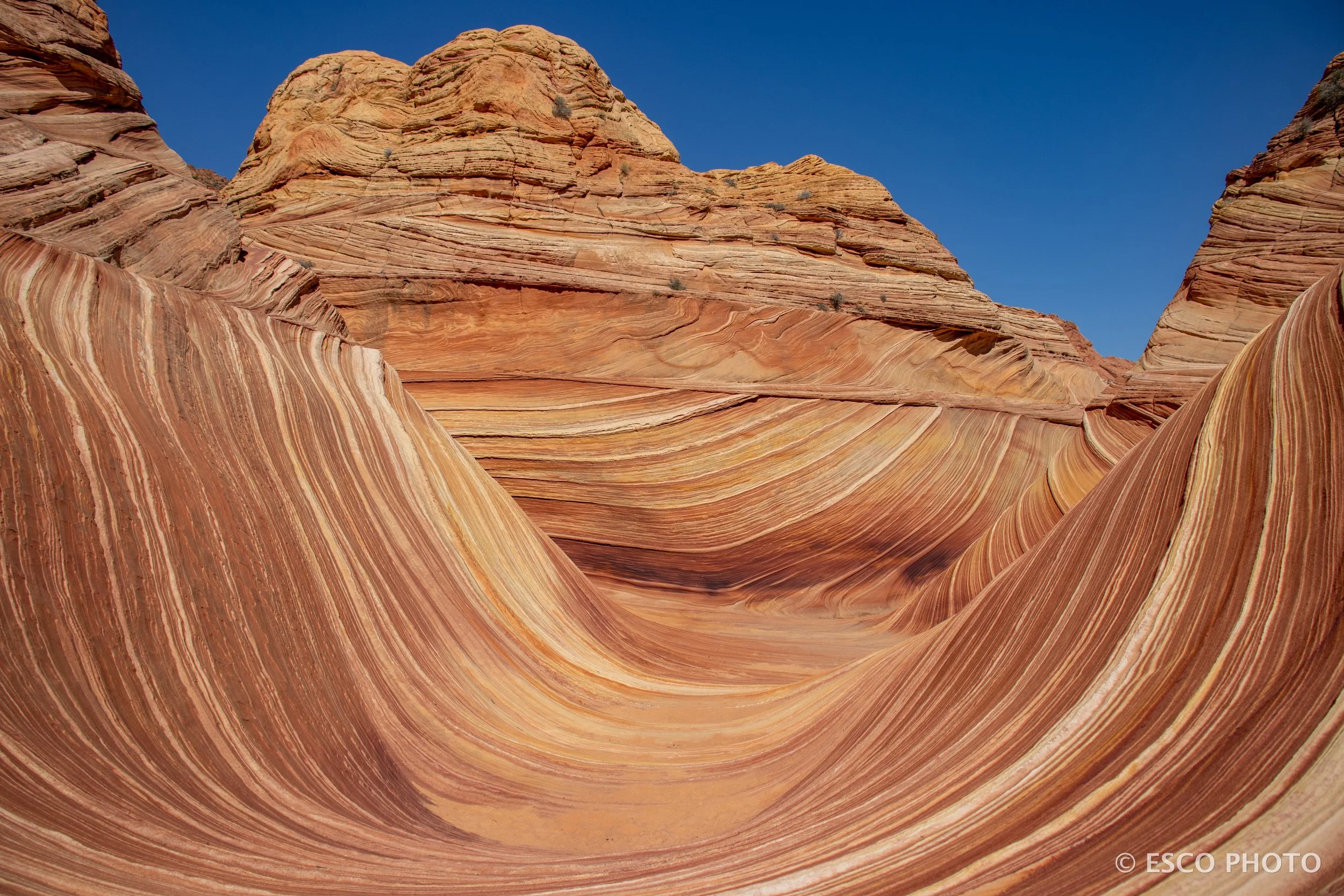 The Wave-060.jpg