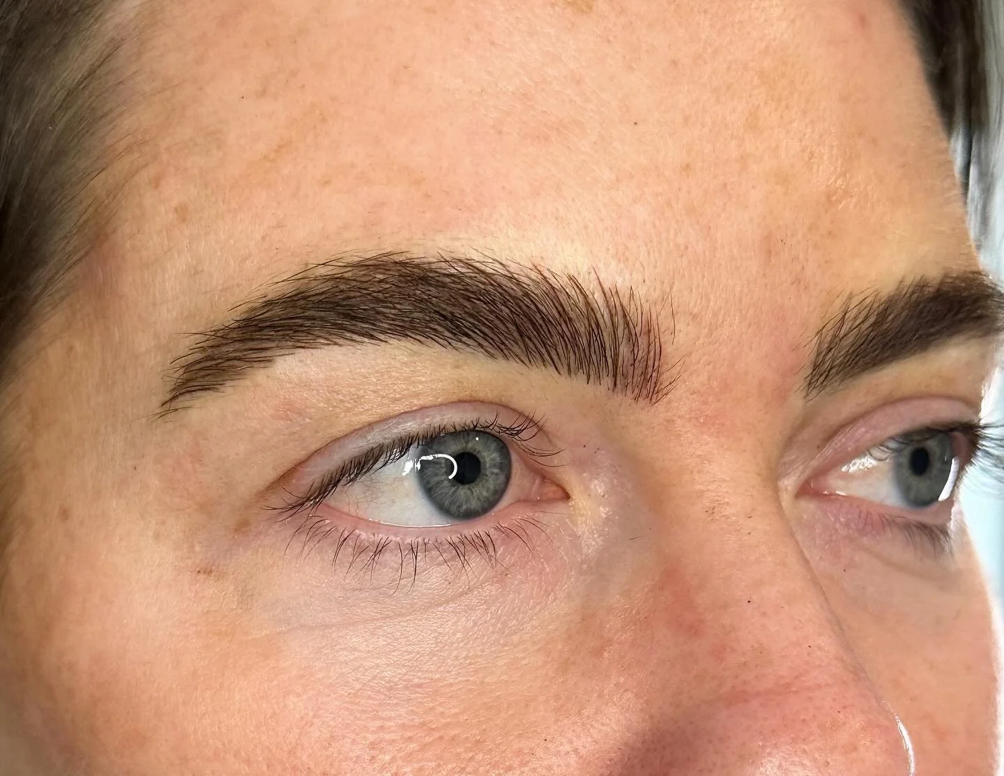 Annual touchup on some of my favorite brows! 
&bull; 
Artist tip - 
The biggest mistake I see artists make at touchups is doing TOO MUCH. Focus on the areas that need it and if it still looks good leave it alone. You don&rsquo;t want to build up extr