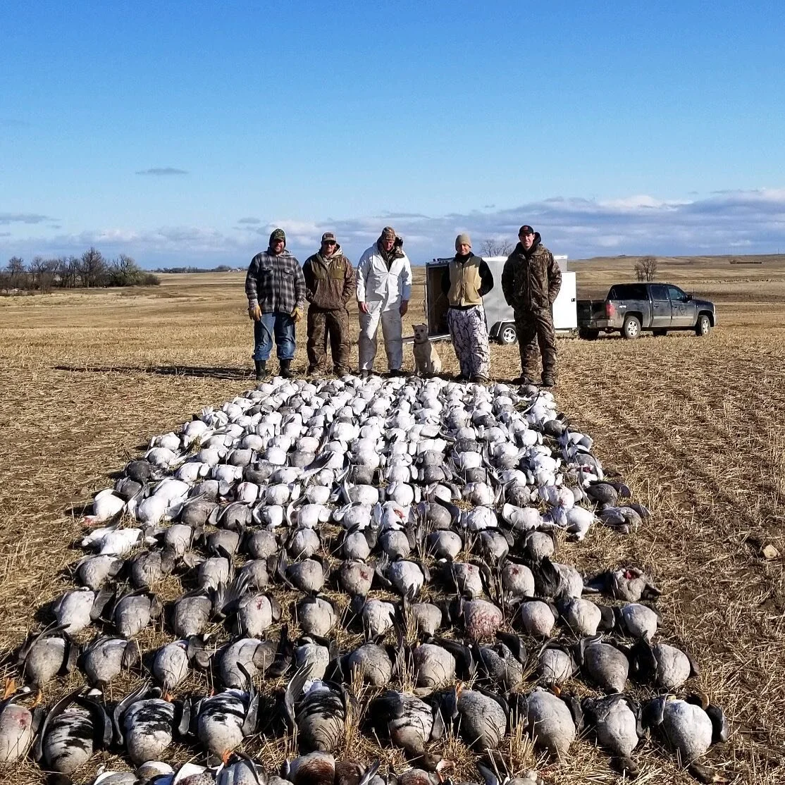 It&rsquo;s almost the best time of the year. If you&rsquo;ve been thinking about getting in on a waterfowl hunt, now is the time to book or call for more information.
